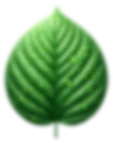 Footer Primary