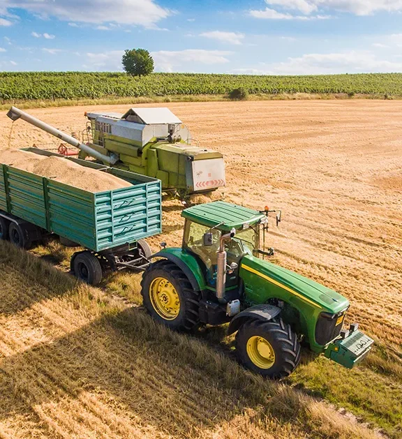 We grow fresh, organic produce using clean methods that protect nature, healthy food.